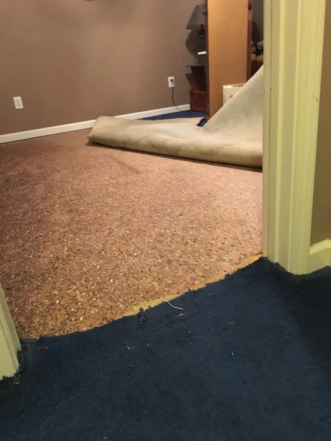 Carpet pad removal revealing water damage during Drying & Dehumidification in Roy