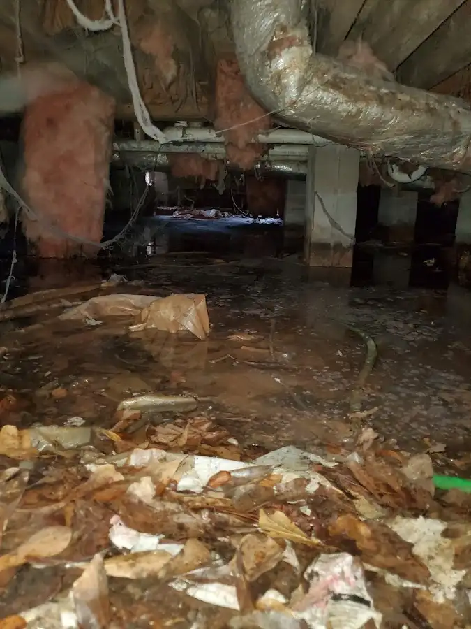 Crawl space flood assessment for Leak Detection & Repair in Roy